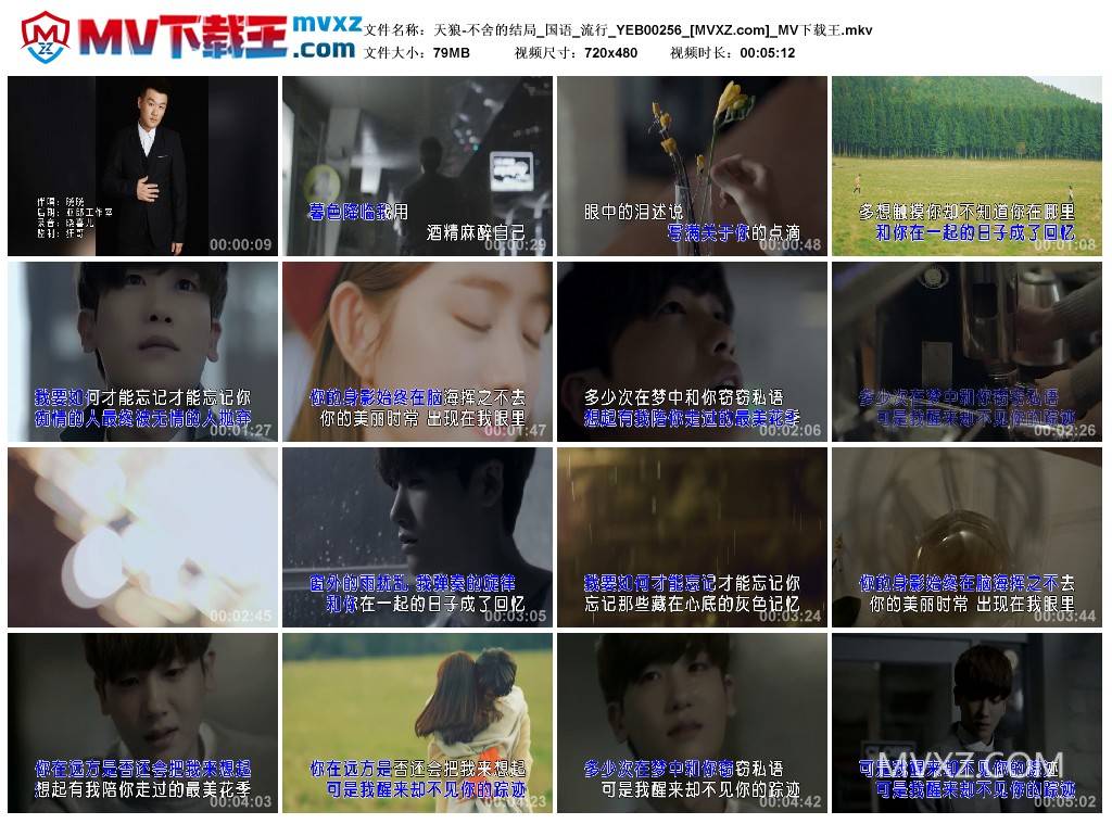 天狼-不舍的结局_国语_流行_YEB00256